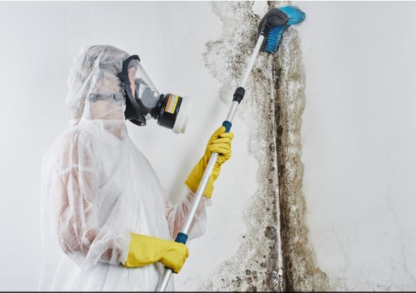 DIY Tips: How to Minimize the Impact of Water Damage Before Professional Help Arrives in Philadelphia